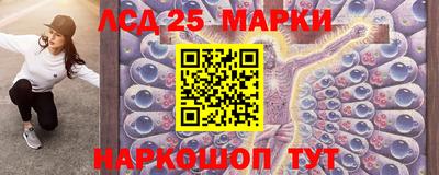 шишки Заволжье