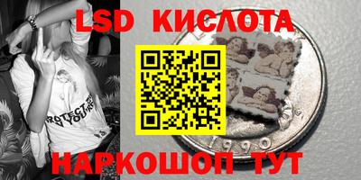 шишки Заволжье