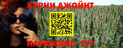 шишки Заволжье