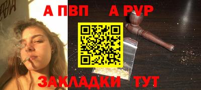шишки Заволжье
