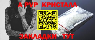 шишки Заволжье
