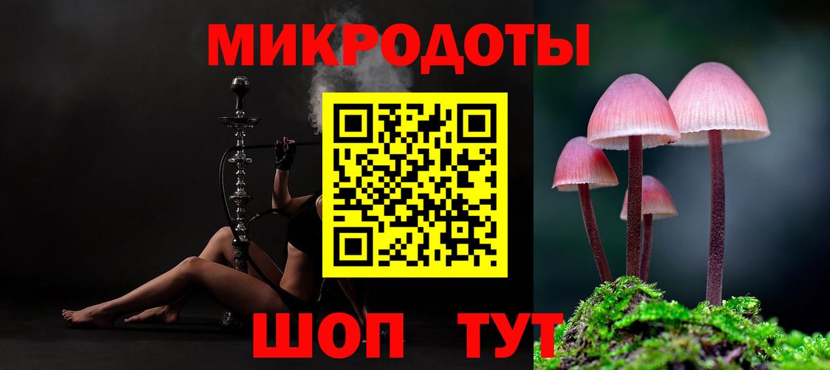 Галлюциногенные грибы Psilocybe Кулебаки